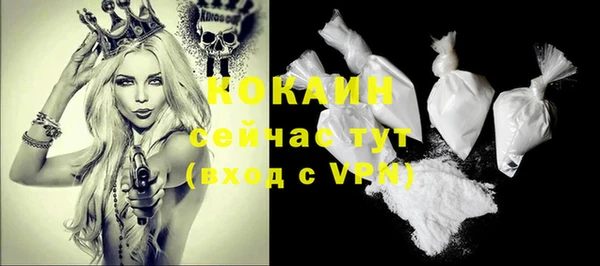 соль ск Горнозаводск