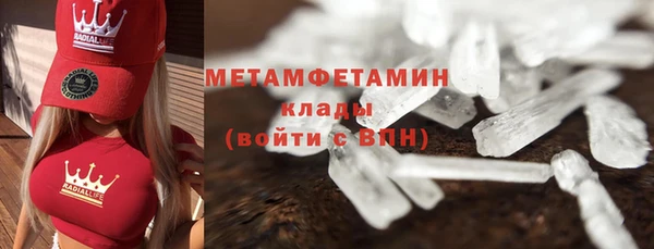 сатива Вяземский