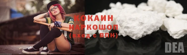 сатива Вяземский