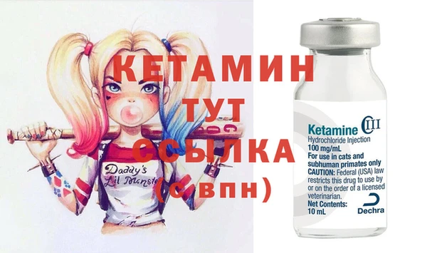 сатива Вяземский