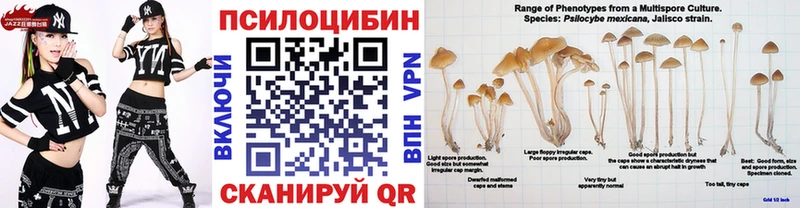 MEGA ссылки  Стерлитамак  Псилоцибиновые грибы Magic Shrooms  купить наркотик 